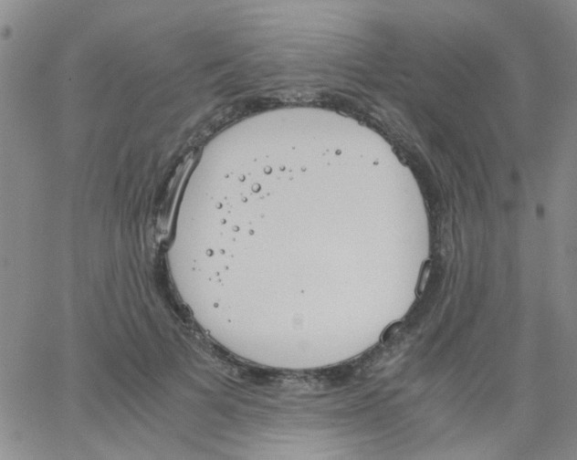 X0000062670697200601181901