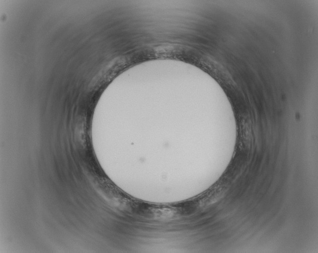 X0000062670698200601181901