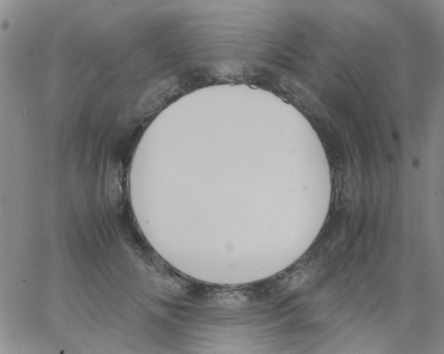 X0000062670702200601181901