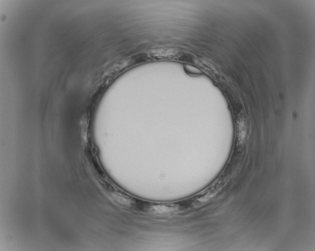 X0000062670703200601181901