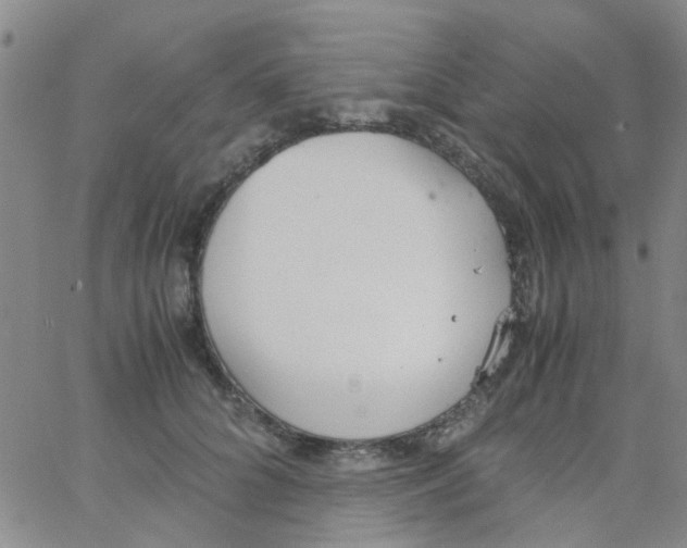 X0000062670704200601181901