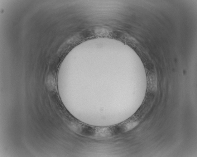 X0000062670705200601181900