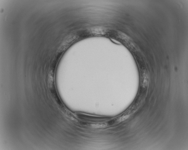 X0000062670707200601181900