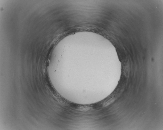 X0000062670708200601181900