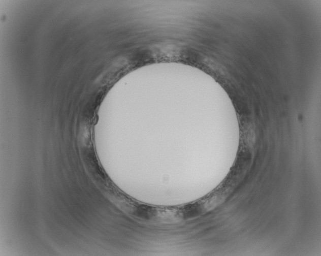 X0000062670709200601181900