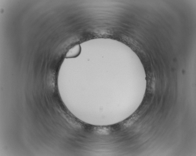 X0000062670710200601181900