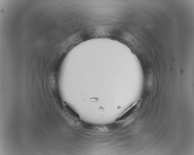 X0000062670715200601181900