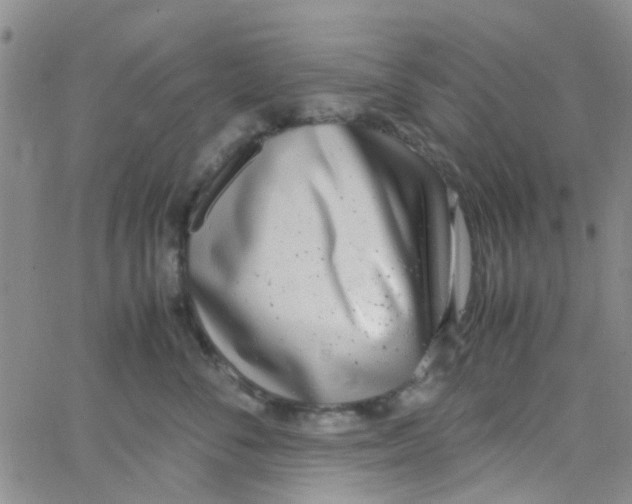 X0000062670716200601181900