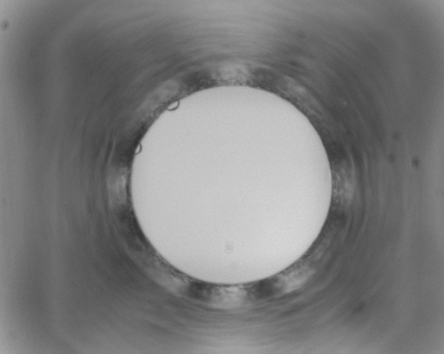 X0000062670717200601181900