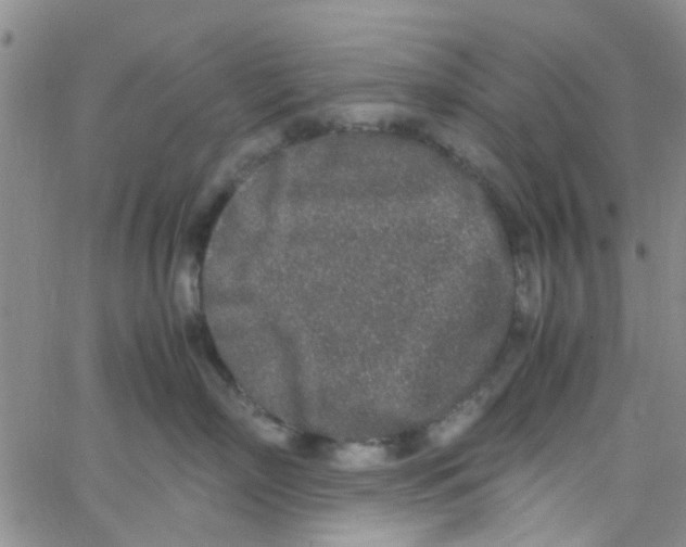 X0000062670718200601181900