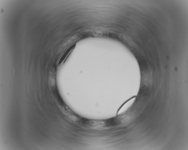 X0000062670719200601181900