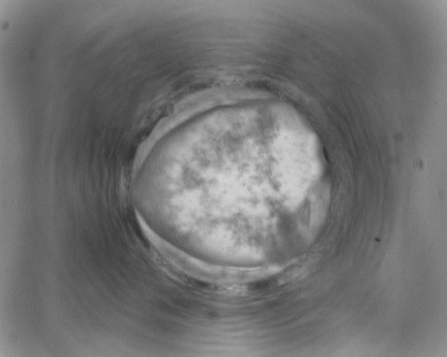 X0000062670720200601181900