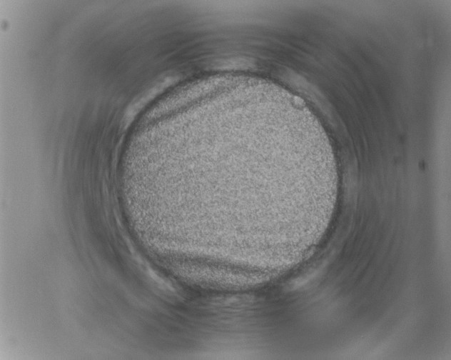 X0000062670721200601181859