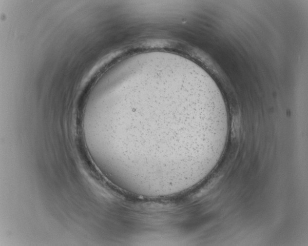 X0000062670722200601181859