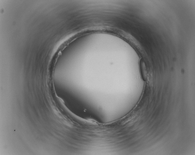 X0000062670724200601181900