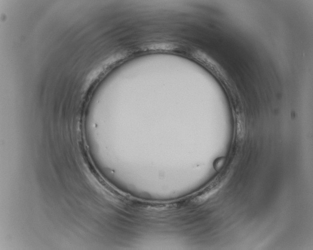 X0000062670725200601181900