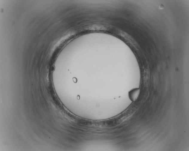 X0000062670727200601181900