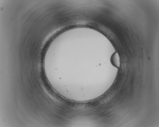 X0000062670728200601181900