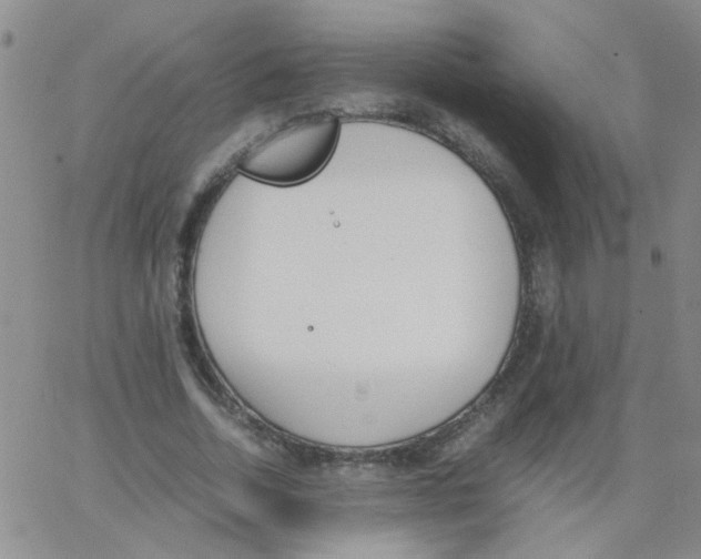 X0000062670730200601181900