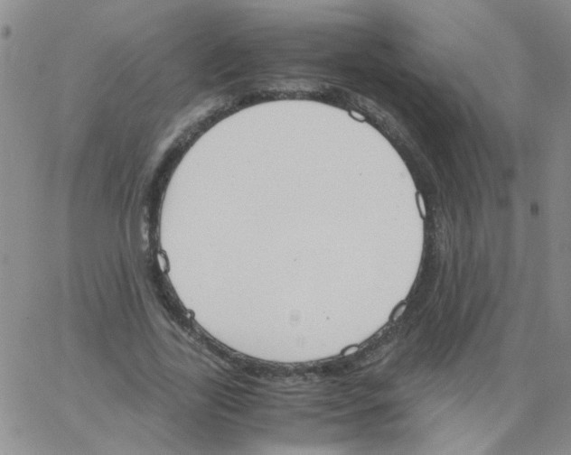 X0000062670731200601181900