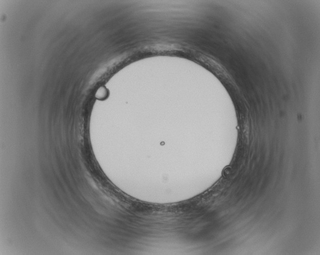 X0000062670732200601181900