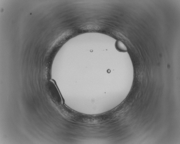 X0000062670735200601181900