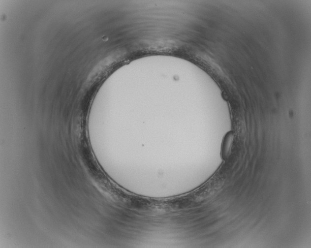 X0000062670736200601181900