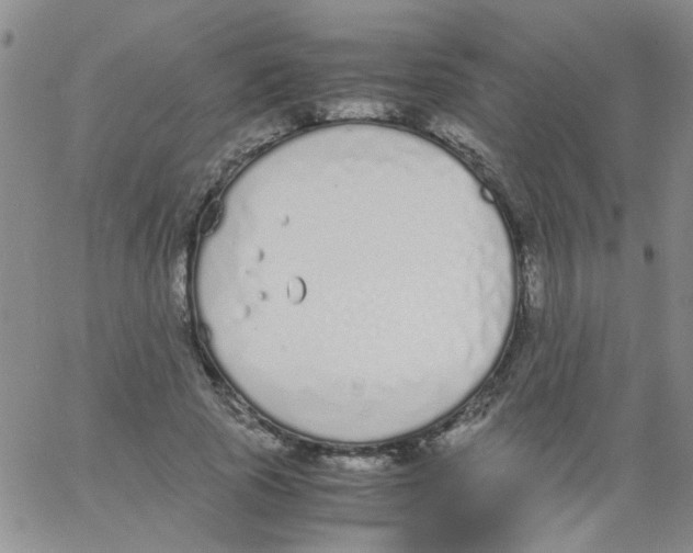 X0000062670737200601181900