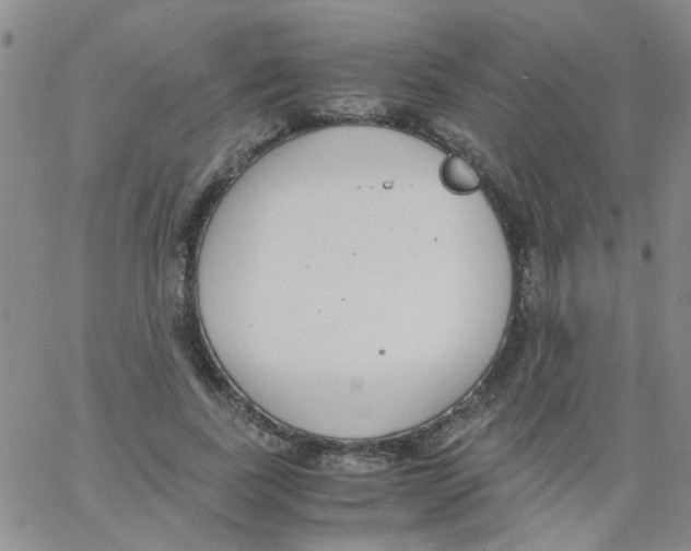 X0000062670739200601181900