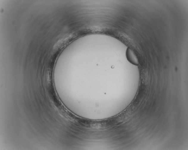 X0000062670740200601181900