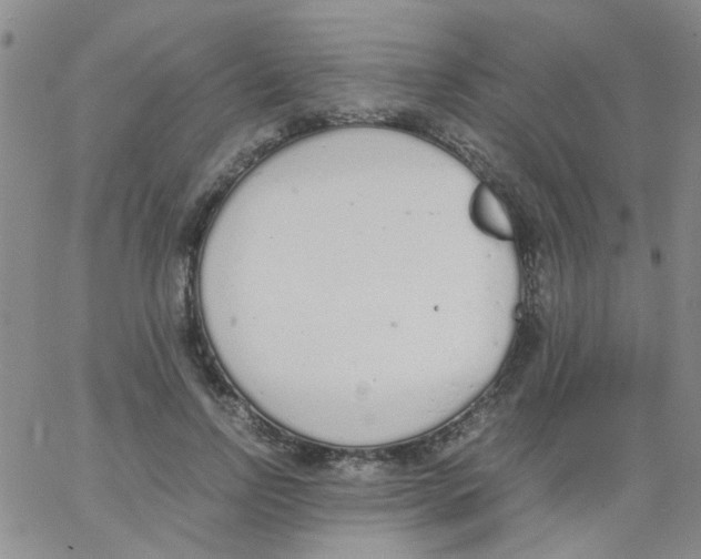 X0000062670742200601181900