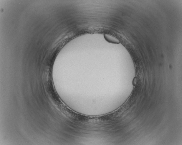 X0000062670744200601181900