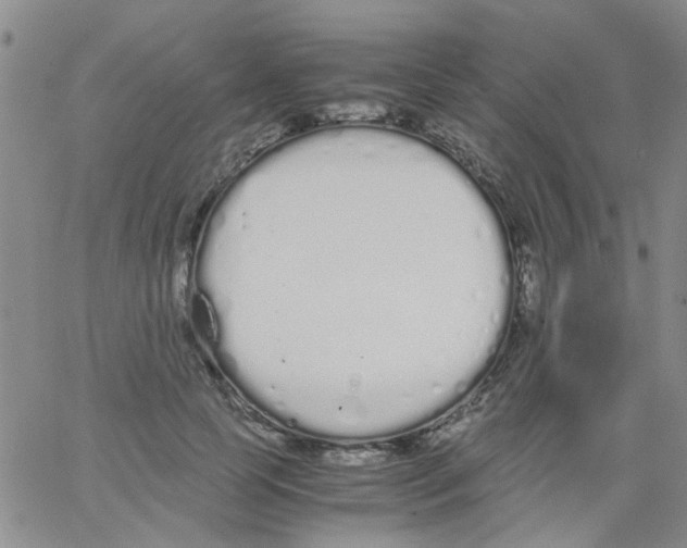 X0000062670745200601181900