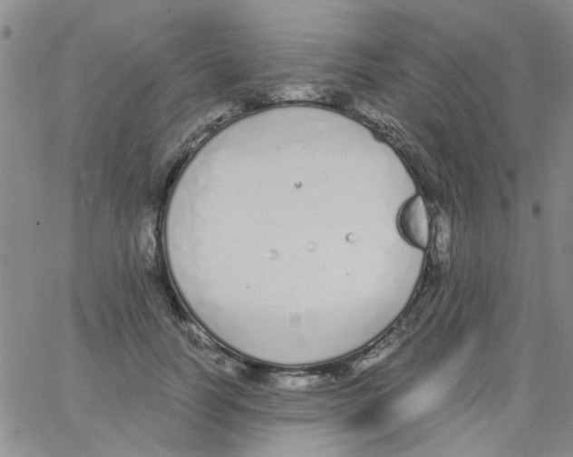 X0000062670746200601181900