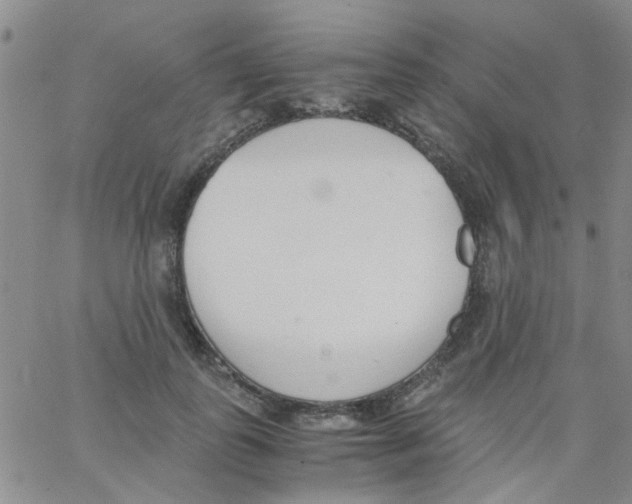 X0000062670747200601181900