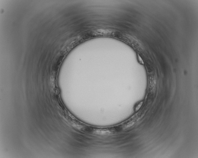 X0000062670749200601181900