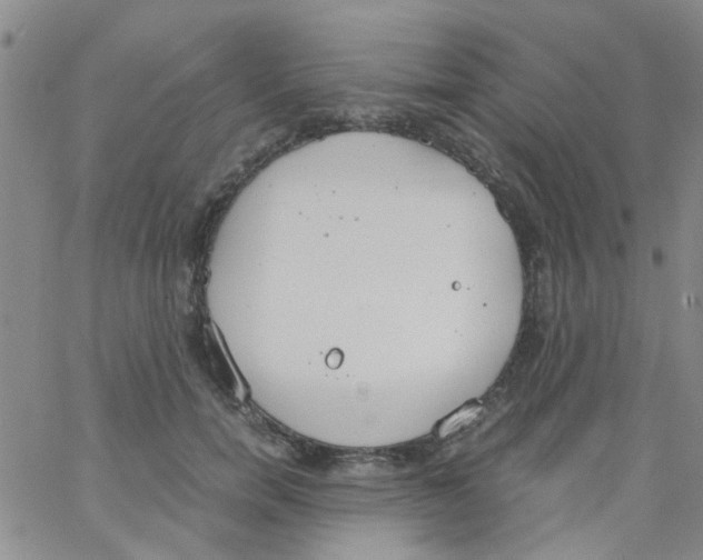 X0000062670750200601181900