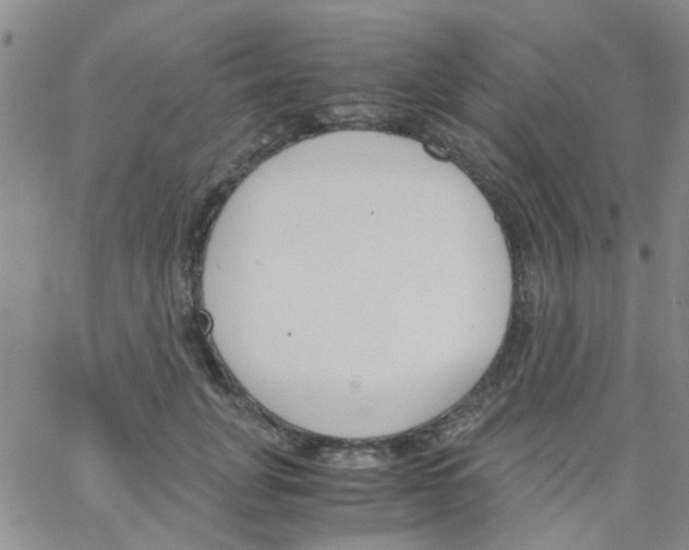 X0000062670751200601181900