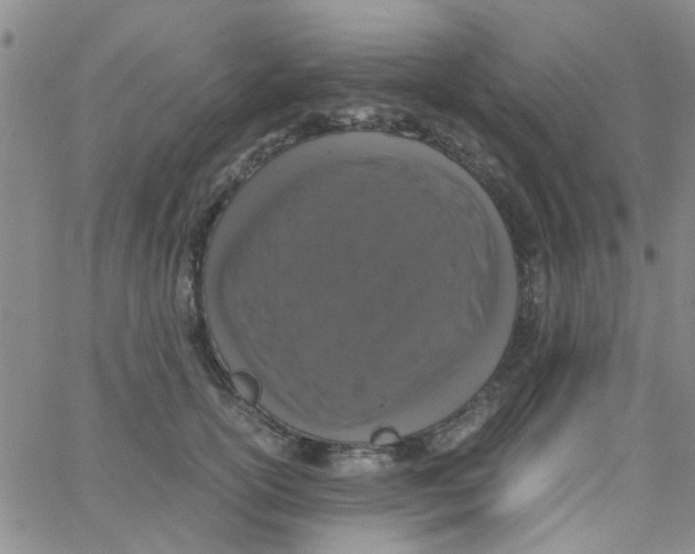 X0000062670754200601181900