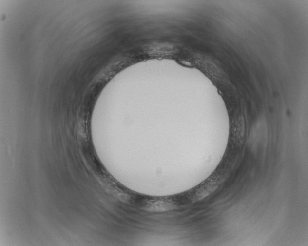 X0000062670755200601181900