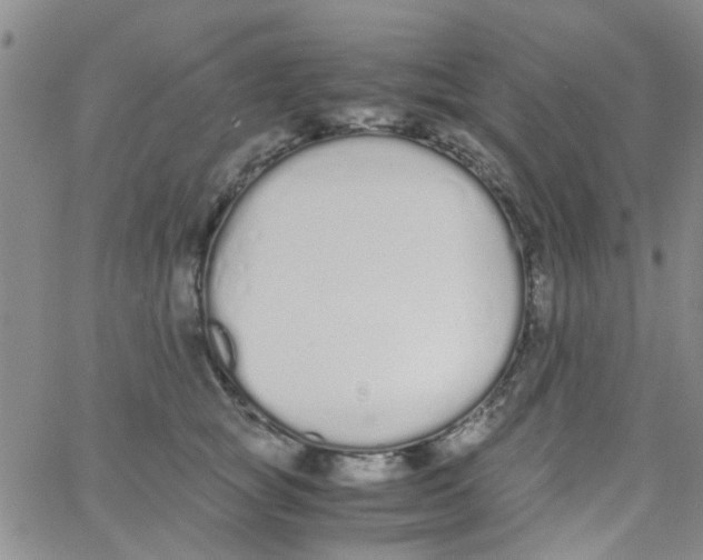 X0000062670757200601181900