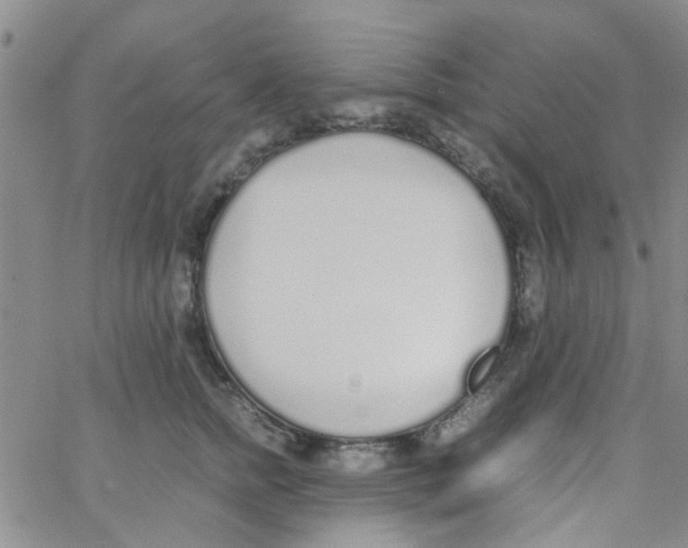 X0000062670758200601181900