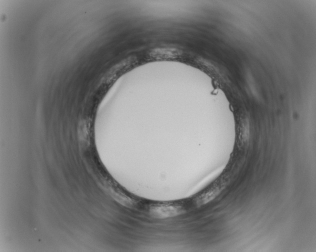 X0000062670759200601181900