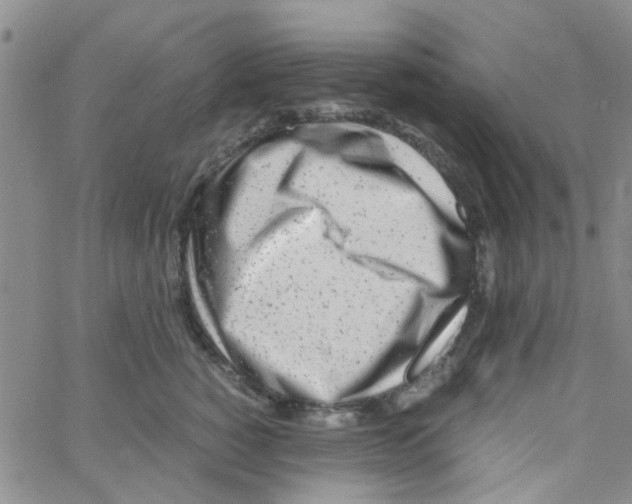 X0000062670760200601181900