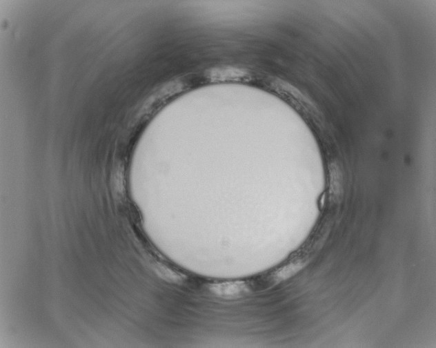 X0000062670761200601181900