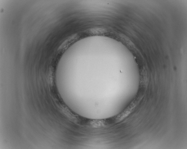 X0000062670762200601181900