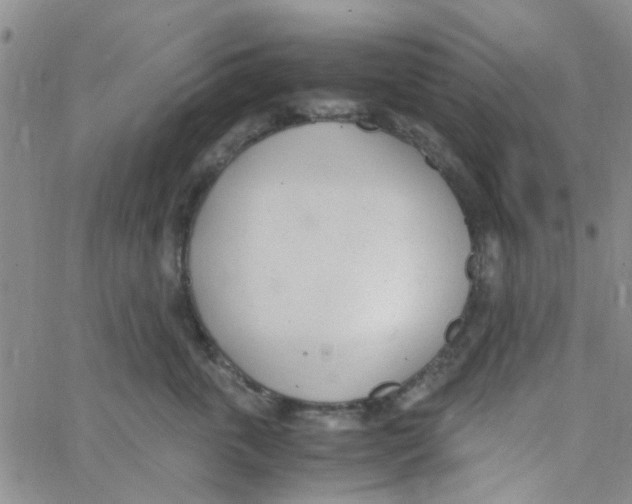 X0000062670763200601181900