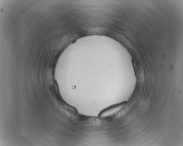 X0000062670764200601181900