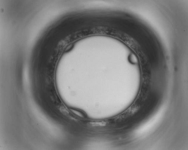 X0000062670765200601181900