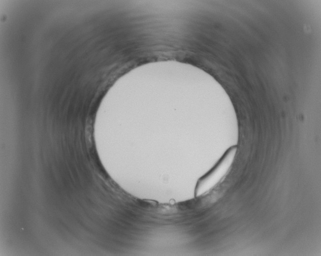 X0000062670768200601181900